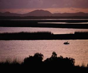 puzzel ISimangaliso Wetland Park, Zuid-Afrika