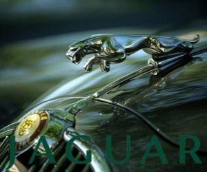 puzzel Jaguar-logo, Brits merk van luxe auto's en sportwagens