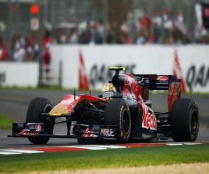 puzzel Jaime Alguersuari - Toro Rosso - Melbourne 2010