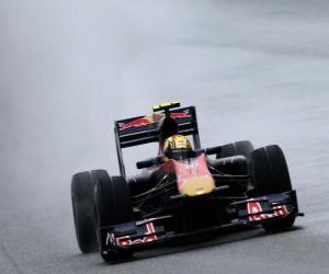 puzzel Jaime Alguersuari - Toro Rosso - Shanghai 2010