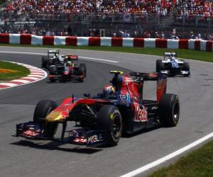 puzzel Jaime Alguersuari - Toro Rosso - Montreal 2010