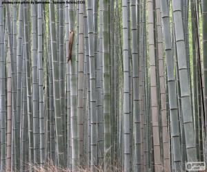puzzel Japanse bamboo forest