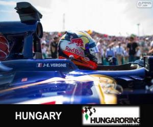 puzzel Jean-Eric Vergne - Toro Rosso - Hungaroring, 2013