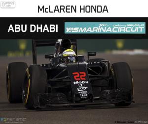 puzzel Jenson Button, Grand Prix van Abu Dhabi 2016