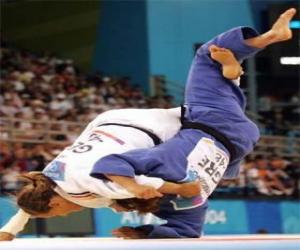 puzzel Judo - Twee judoka&#39;s beoefenen