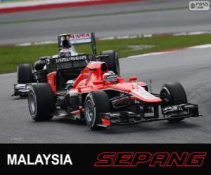 puzzel Jules Bianchi - Marussia - Sepang 2013