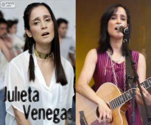 puzzel Julieta Venegas, is een Mexicaans zangeres