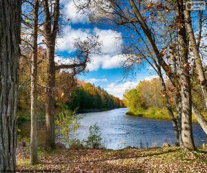 puzzel Jumbo River, Verenigde Staten