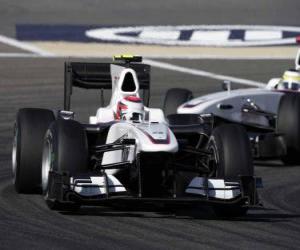 puzzel Kamui Kobayashi - BMW Sauber - Bahrain 2010