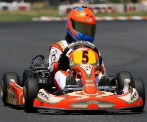 puzzel Karting