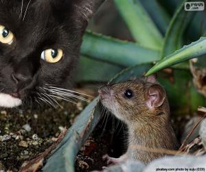puzzel Kat en muis