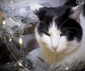 puzzel Kat met Kerstmis