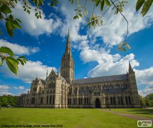 puzzel Kathedraal van Salisbury, Engeland