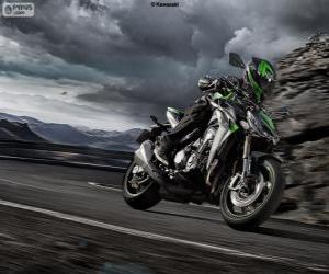 puzzel Kawasaki Z1000 2014