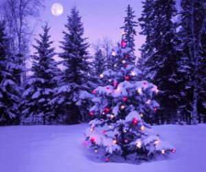 puzzel Kerst bomen in een besneeuwd landschap met de maan aan de hemel