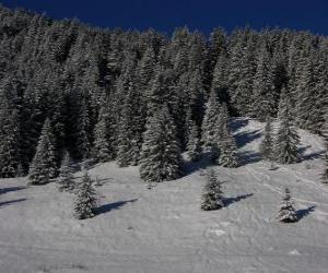 puzzel Kerst bomen in een besneeuwd landschap