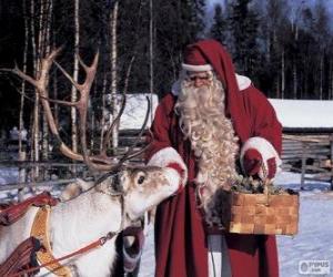 puzzel Kerstman geven voeden de rendieren