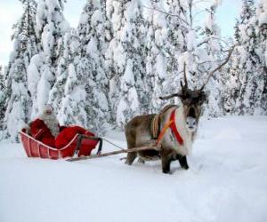 puzzel Kerstman in zijn slee met rendier op sneeuw