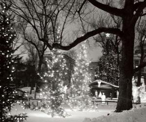 puzzel Kerstmis in het Park