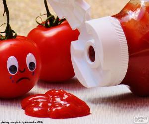 puzzel Ketchup