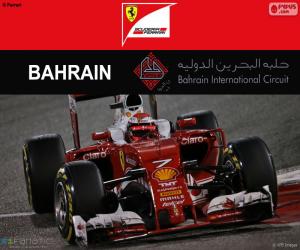 puzzel Kimi Räikkönen G.P Bahrein 2016