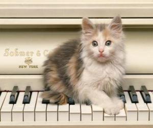 puzzel Kitten te spelen op een piano