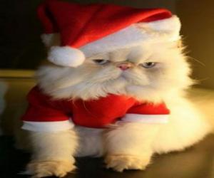 puzzel Kitten verkleed als kerstman