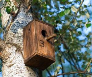 puzzel Klein huis van hout voor de vogels in het voorjaar