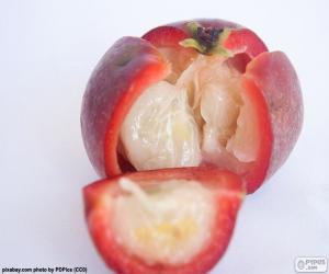 puzzel Kokum fruit