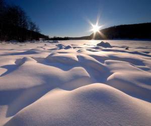 puzzel Kronkelige vormen in de Eagle Lake Ontario, Canada