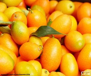 puzzel Kumquat