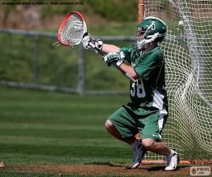 puzzel Lacrosse keeper