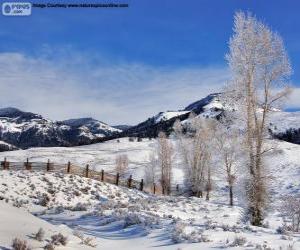 puzzel Lamar Valley, Yellowstone National Park, Wyoming, Verenigde Staten