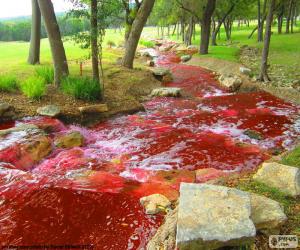 puzzel Landschap met een rode rivier