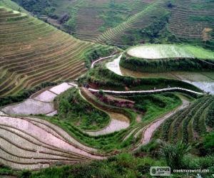 puzzel Landschap van het Chinese platteland