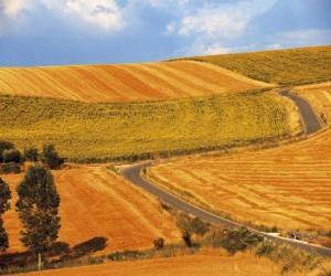 puzzel Landschap van rollend velden