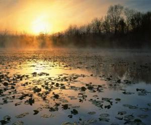 puzzel Landschap vijver in Ohio