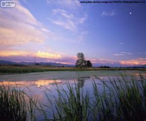 puzzel Lee Metcalf Nationaal Park, Montana, Verenigde Staten