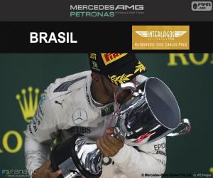 puzzel Lewis Hamilton, de Braziliaanse Grand Prix 2016