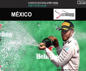 puzzel Lewis Hamilton, de Mexicaanse Grand Prix 2016