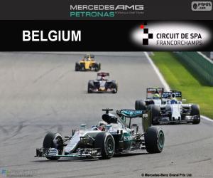 puzzel Lewis Hamilton, GP België 2016