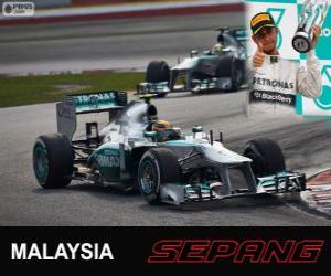 puzzel Lewis Hamilton - Mercedes - Grand Prix van Maleisië 2013, 3e ingedeeld