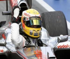 puzzel Lewis Hamilton viert zijn overwinning in Montreal, Canada 2010 Grand Prix