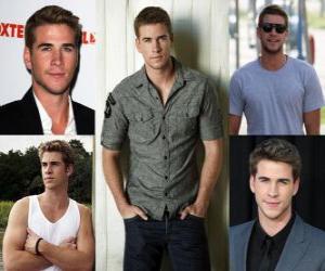 puzzel Liam Hemsworth is een Australisch acteur