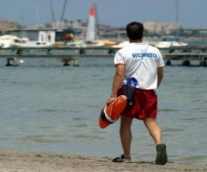 puzzel Lifeguard