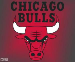 puzzel Logo Chicago Bulls, NBA-team. Central Division, Eastern Conference