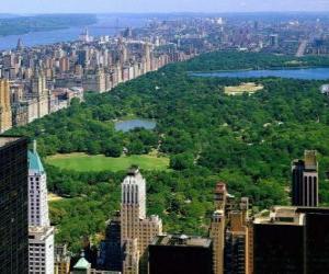 puzzel Luchtfoto van Central Park, New York