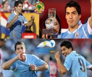 puzzel Luis Suarez de beste speler in de Copa America 2011