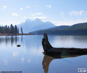 puzzel Maligne Lake, Canada