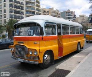 puzzel Malta bus